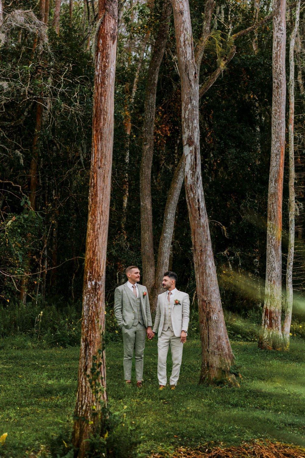 carousel-hero-element image-1